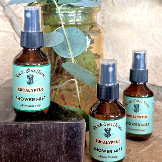 3 eucalyptus shower and room spray bottles with eucalyptus bouquet in background