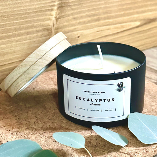 Eucalyptus candle with open top and wood background